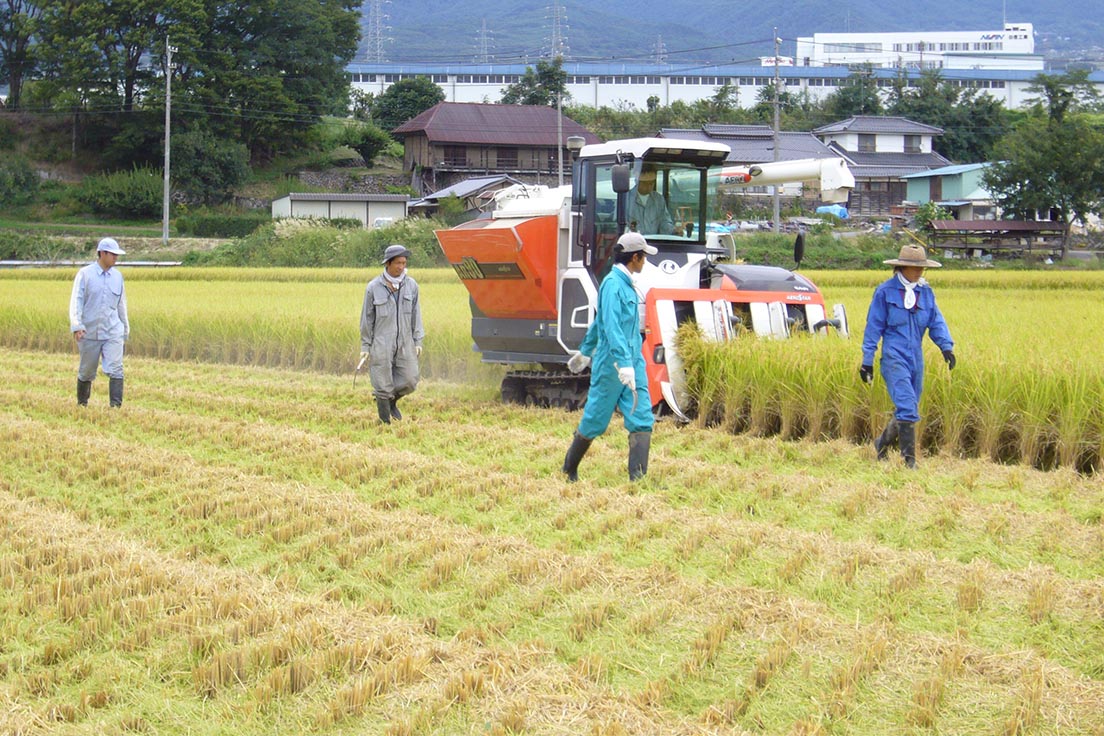 すべての商品