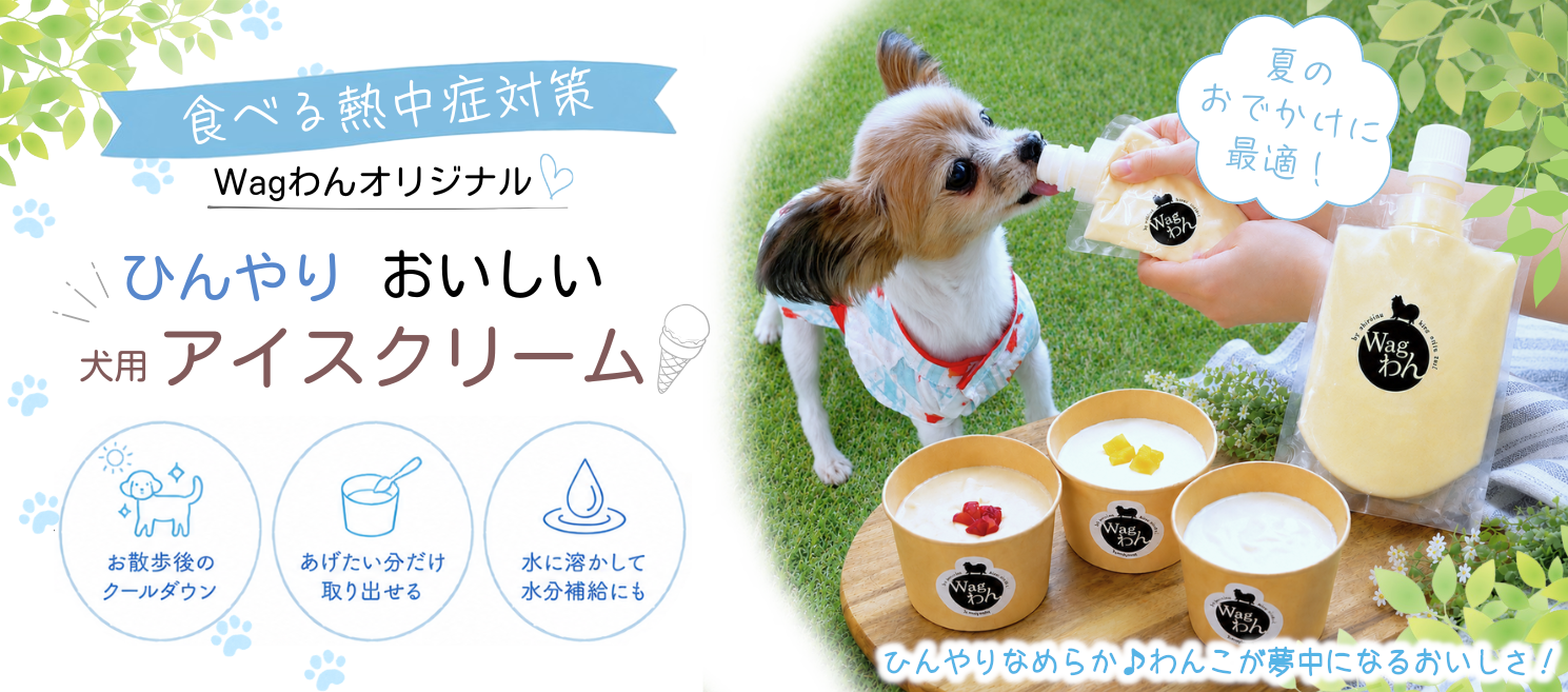 Anniversaryケーキ