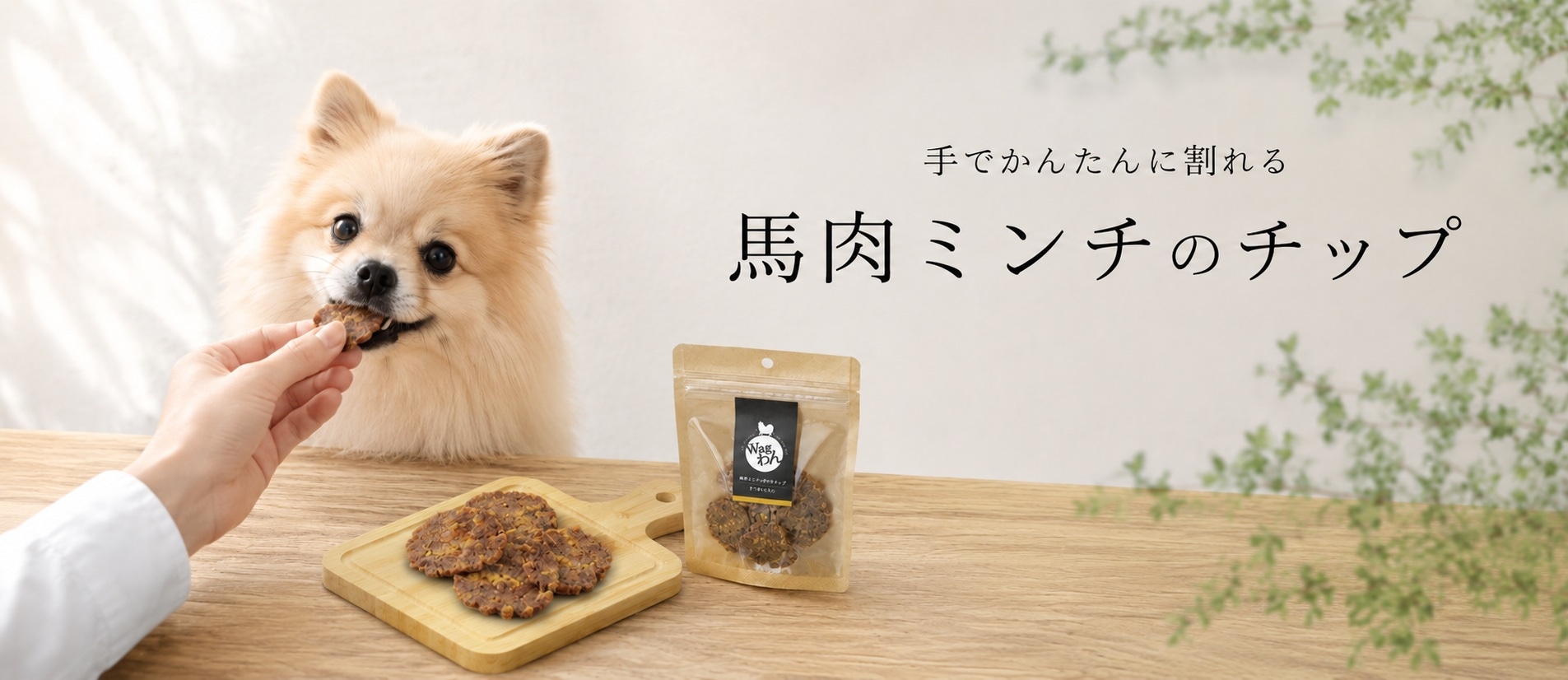 馬肉ミンチのチップ