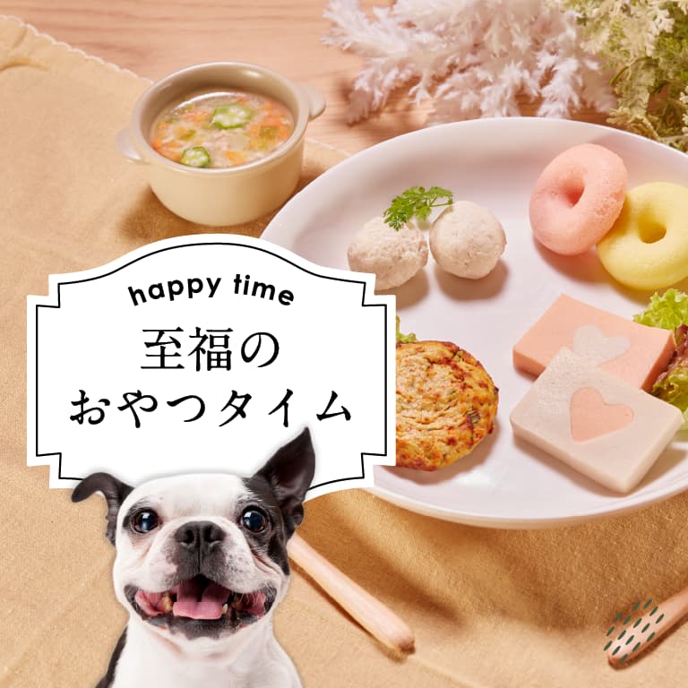 犬用 猫用ケーキ&おやつ通販サイト ｜Wagわん -Petfood & Goods-