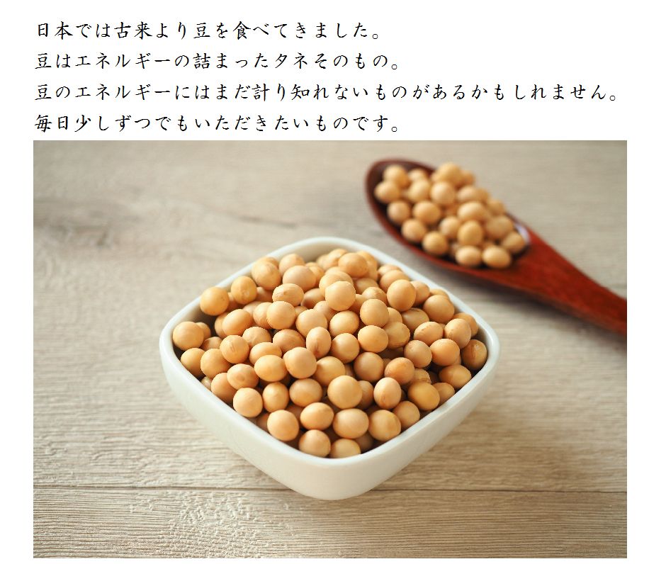 北海道産有機大豆　豆類　300g　大自然のいのち