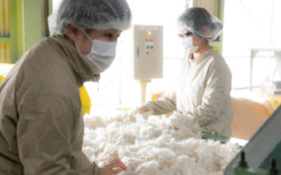 ハートのものづくりの原点