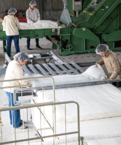 ハートのオーガニックへの取組