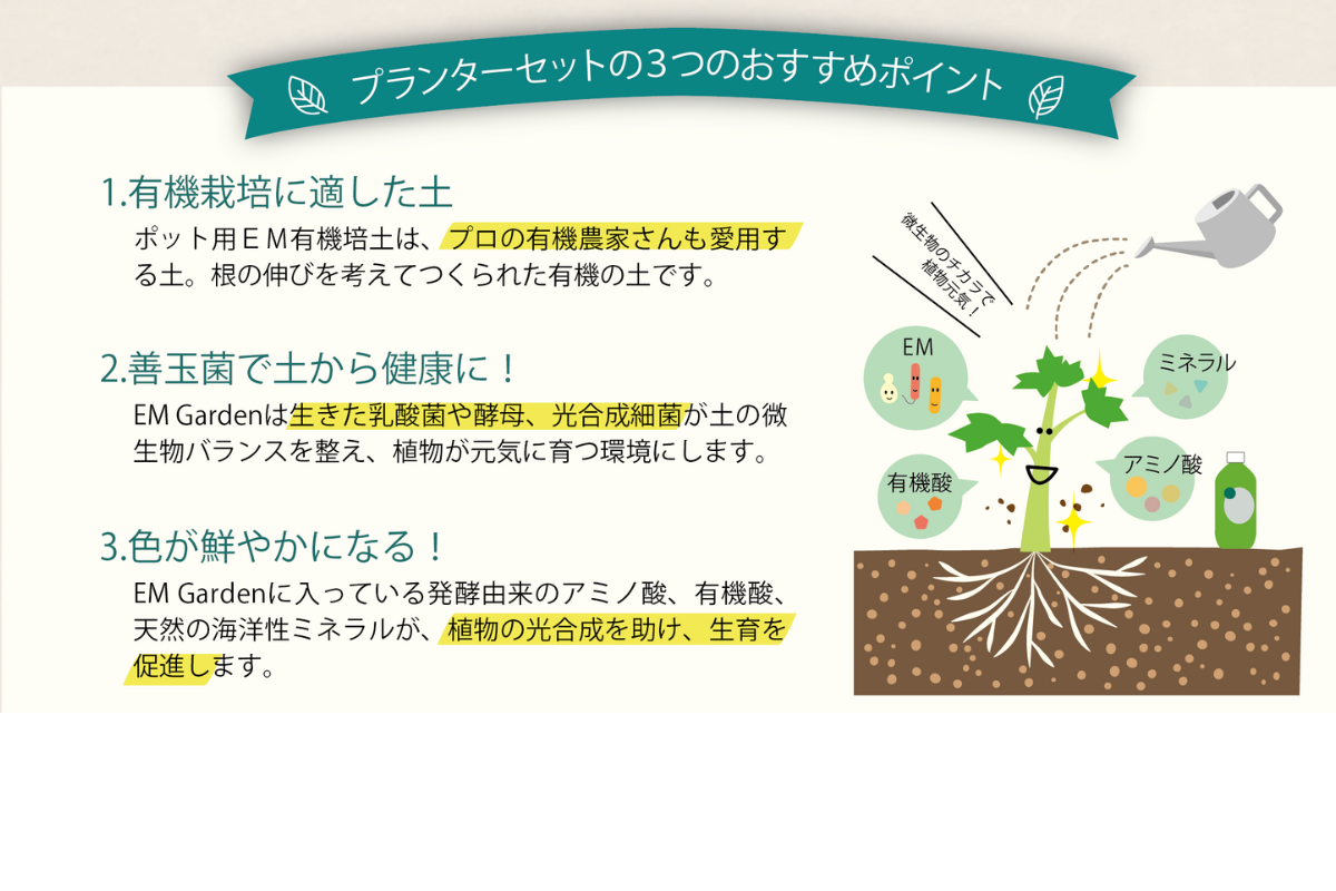 セット内容一式