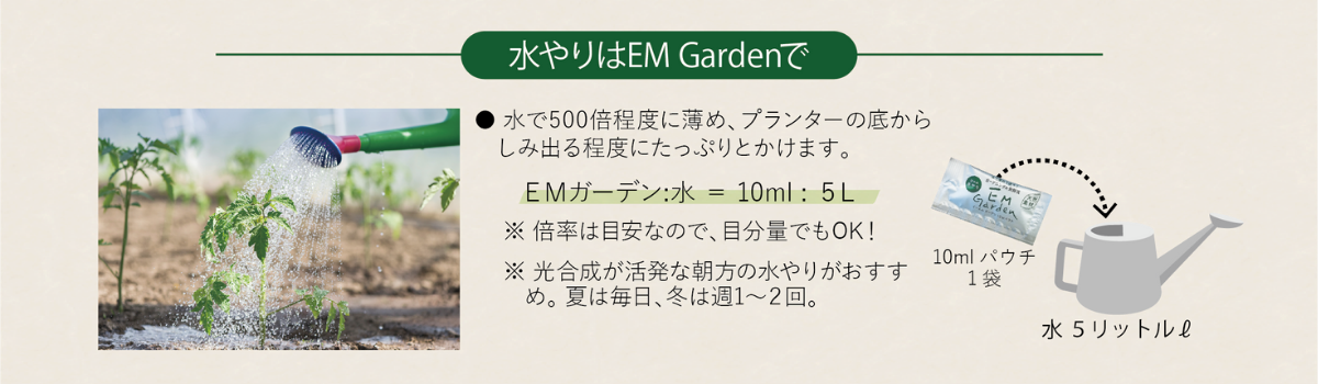 セット内容一式