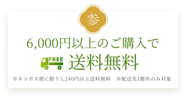 参 6,000円以上の購入で送料無料