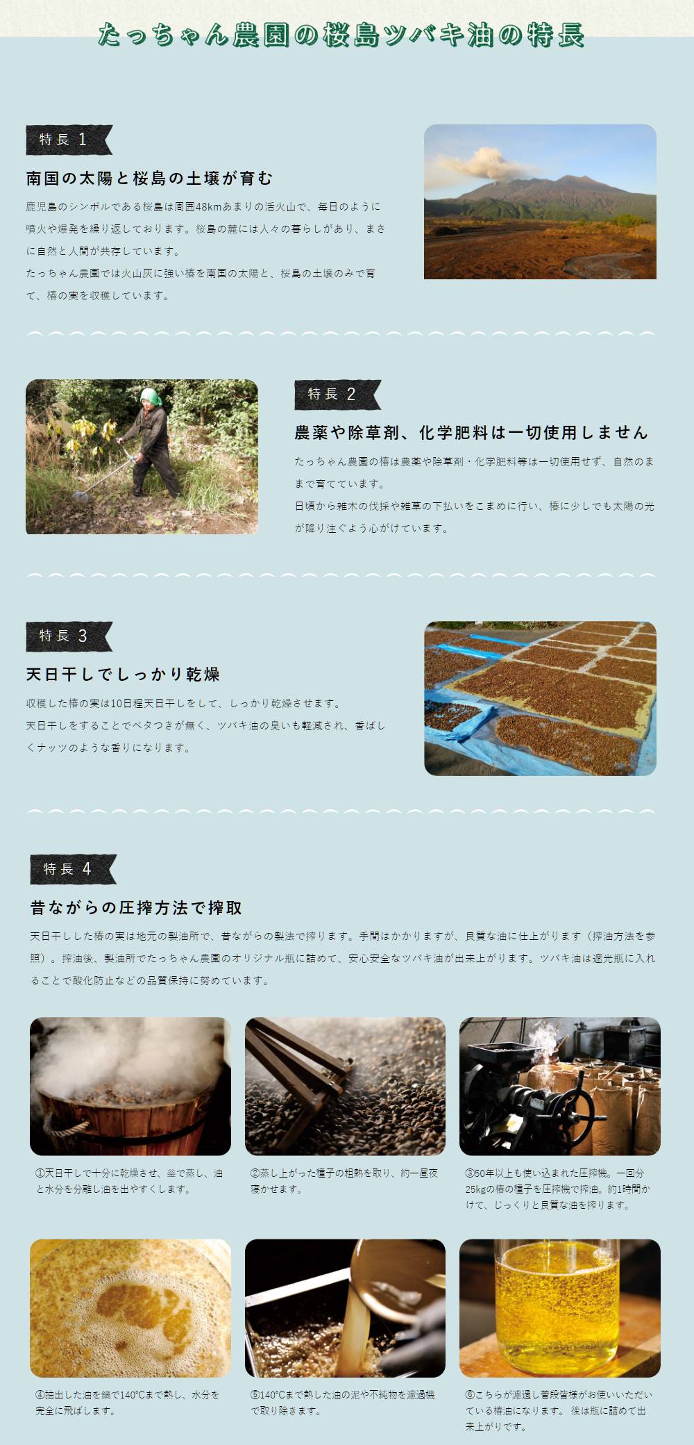 たっちゃん農園の桜島ツバキ油の特長