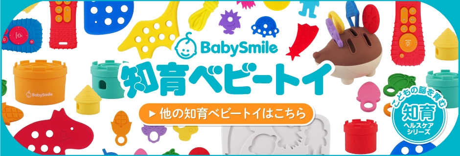 知育トイシリーズ