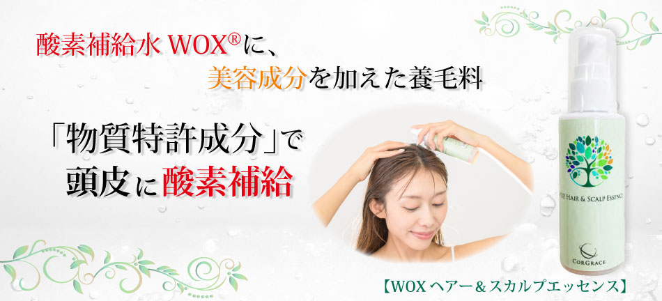 �إ�����������ץ��å���