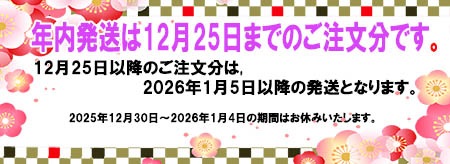 2025冬期休暇