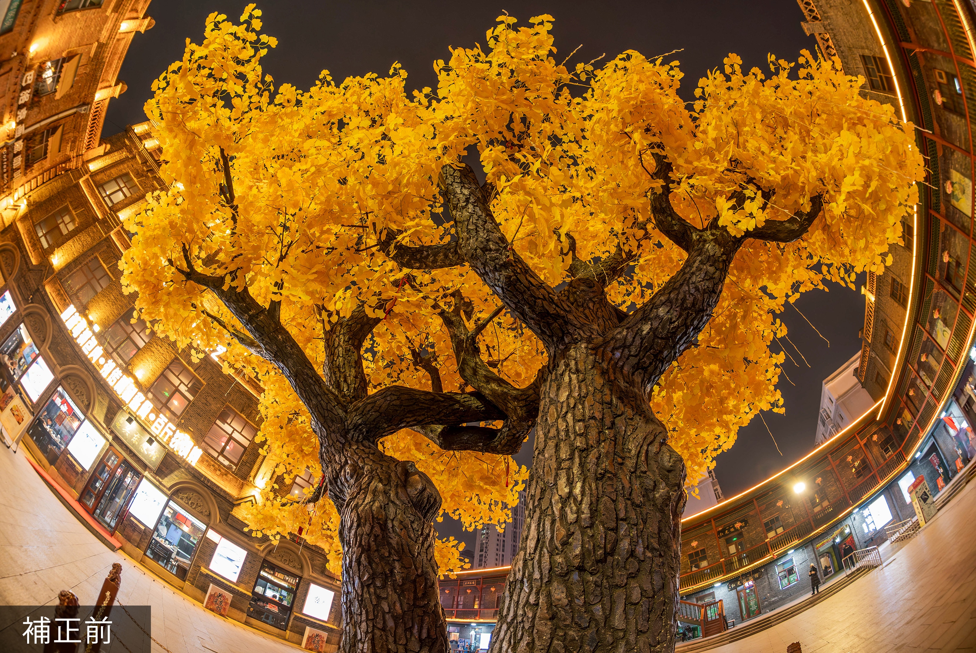 七工匠 7Artisans 6mm F2 FISH-EYE II ED APS-C「E/Z/RF/X/M43マウント