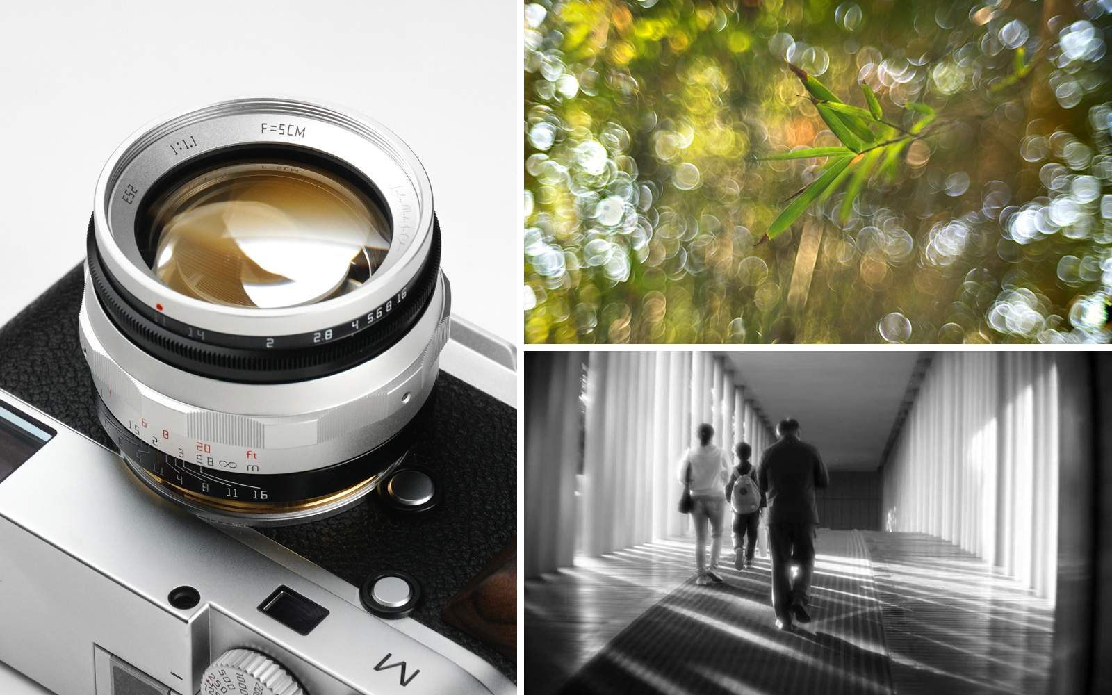 世界限定70本】LAILENS LTM 50mm f1.1 KP「ライカM / L39」 | 焦点工房