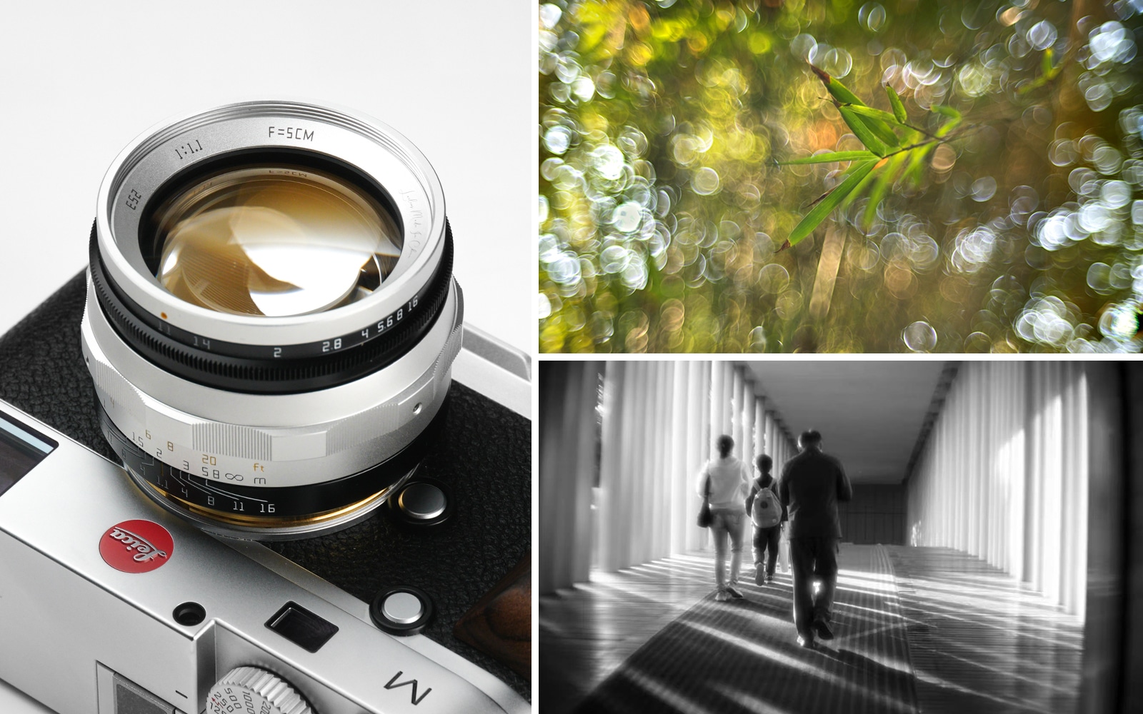 世界限定70本】LAILENS LTM 50mm f1.1 KP 先行予約販売 | 焦点工房