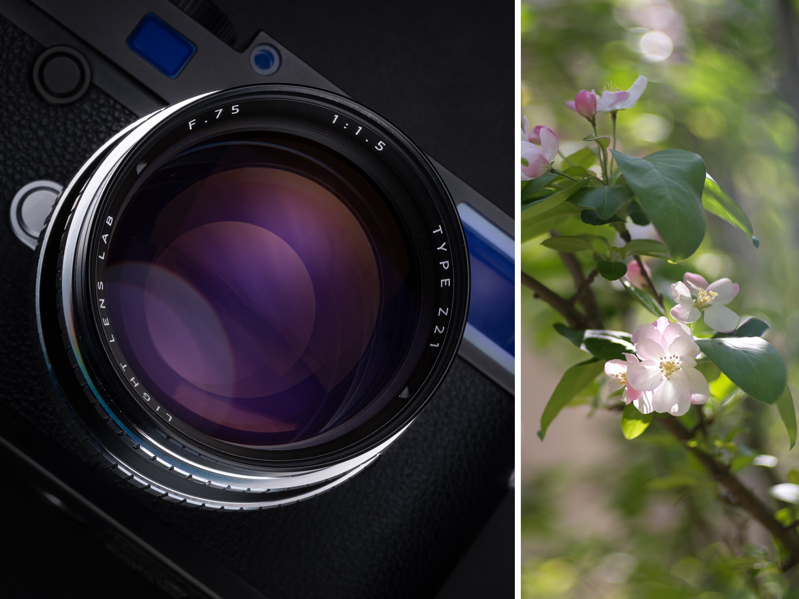 LIGHT LENS LAB M 75mm f/1.5 Z21 マットブラック | 焦点工房