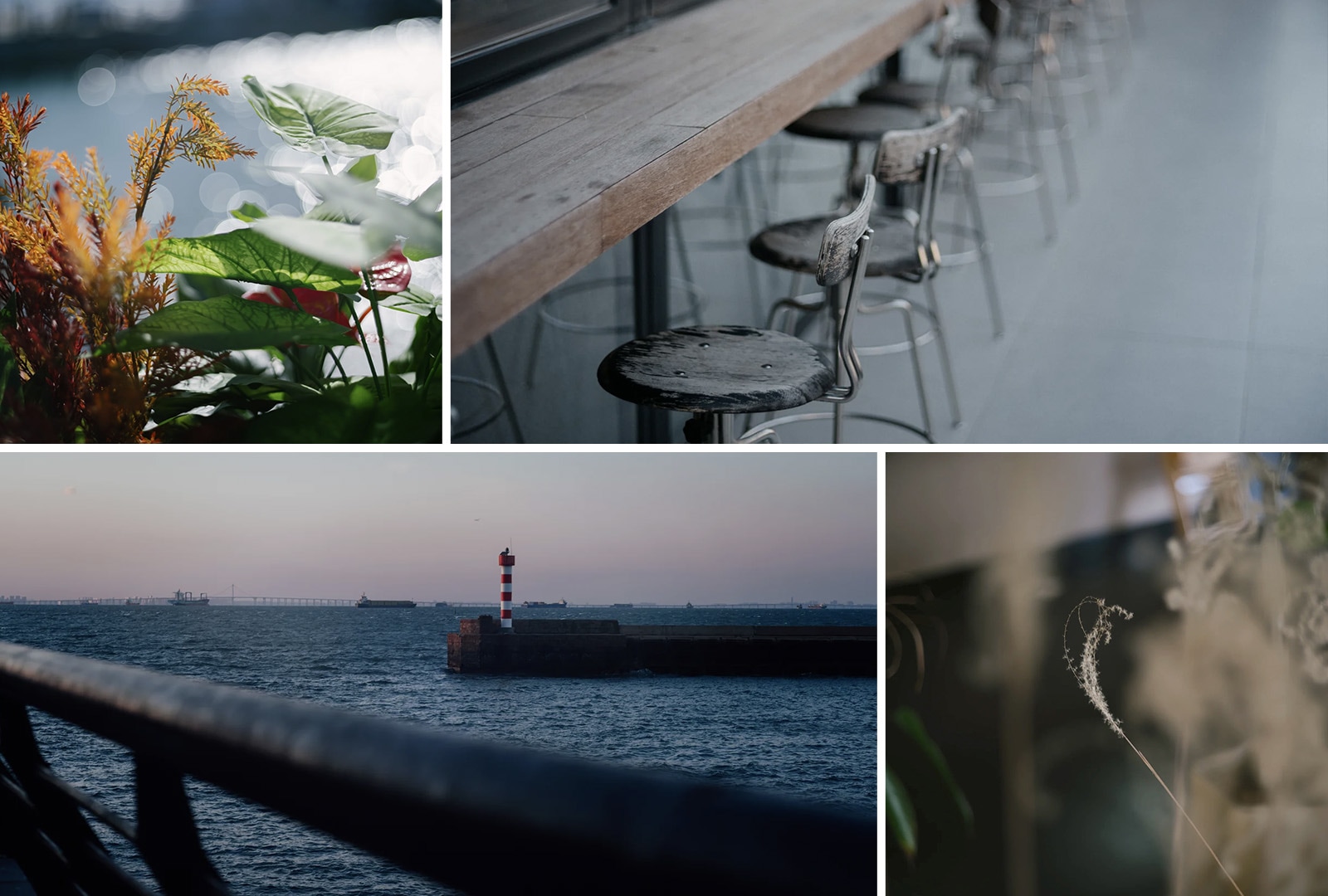 LIGHT LENS LAB M 75mm f/2 SPII