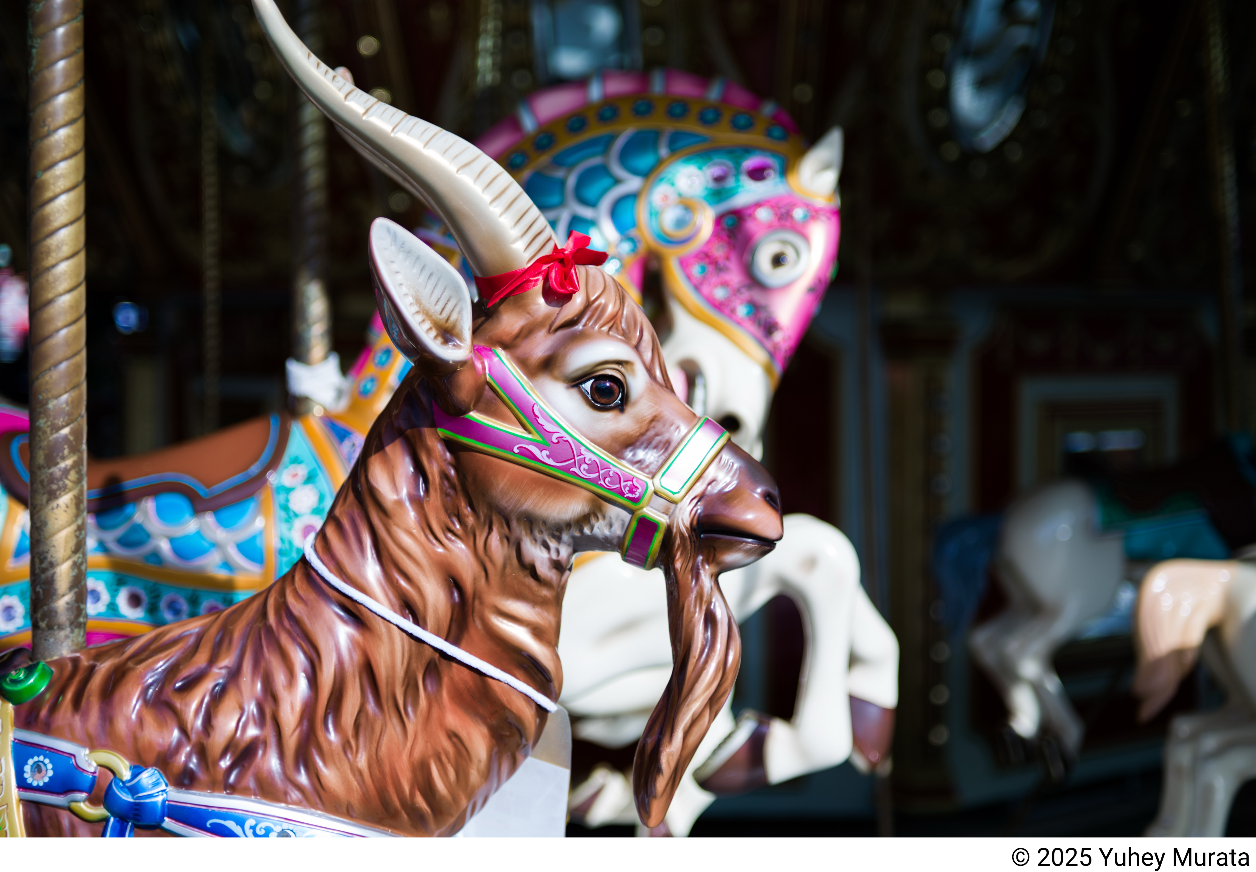 Schneider-Kreuznach XENON-EMERALD 50mm F2.2 