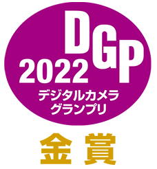 ǥ륫饰ץ2022