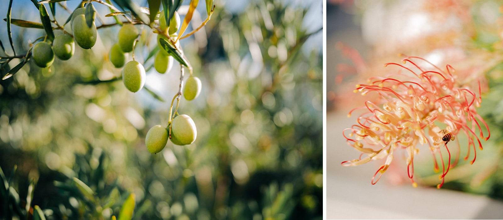 Simera 21mm f/1.4 ASPH.