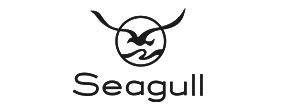 seagull