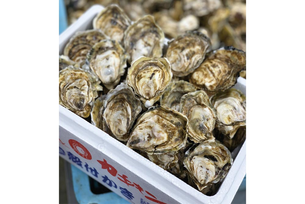 道東釧路の新鮮 厚岸産 超特大殻付活牡蠣（２００g以上）３０個 -