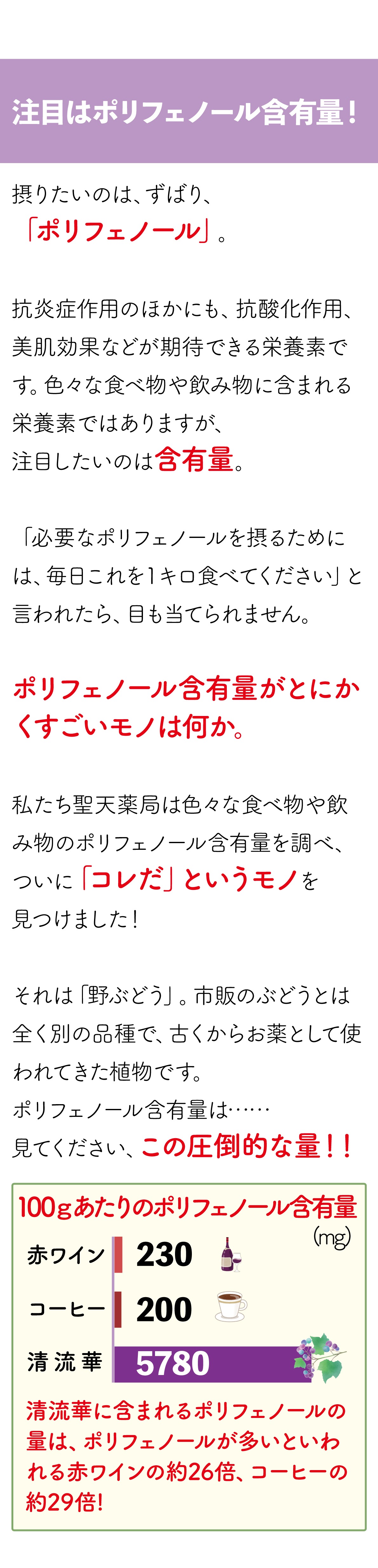 注目はポリフェノール含有量