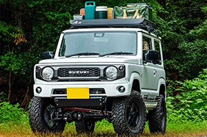 A-x �롼�ե�å� �Ѻܥ��᡼��