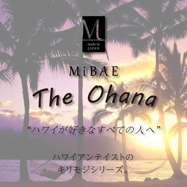 表札 ステンレス 切り文字 MiBAE The Ohana デザイン表札専門店サインデポ（本店）