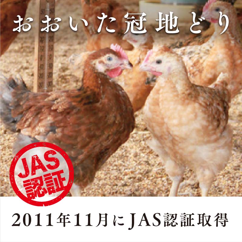 ���Ϥɤꥤ�᡼��