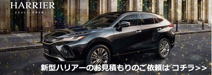 新車選び Com Mazda車の新型cx 3の諸費用コミコミ総額価格が安い 新型cx 3の値引き情報が満載新車を安く買うテクニック情報を幅広くご紹介 Cx 3が驚きの新車値引きを実現しました