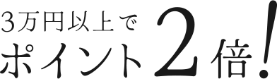 ポイント2倍