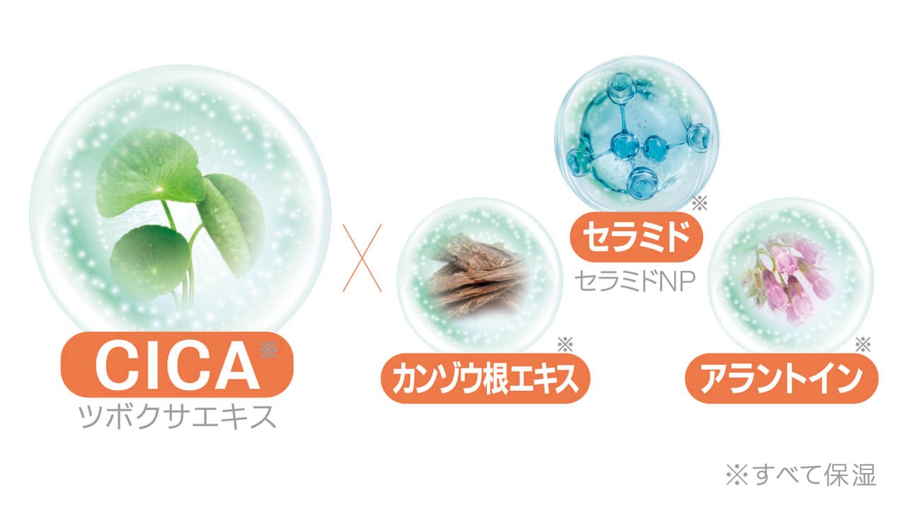 ¥¥ã¥·¡¼¥É¡¼¥ë