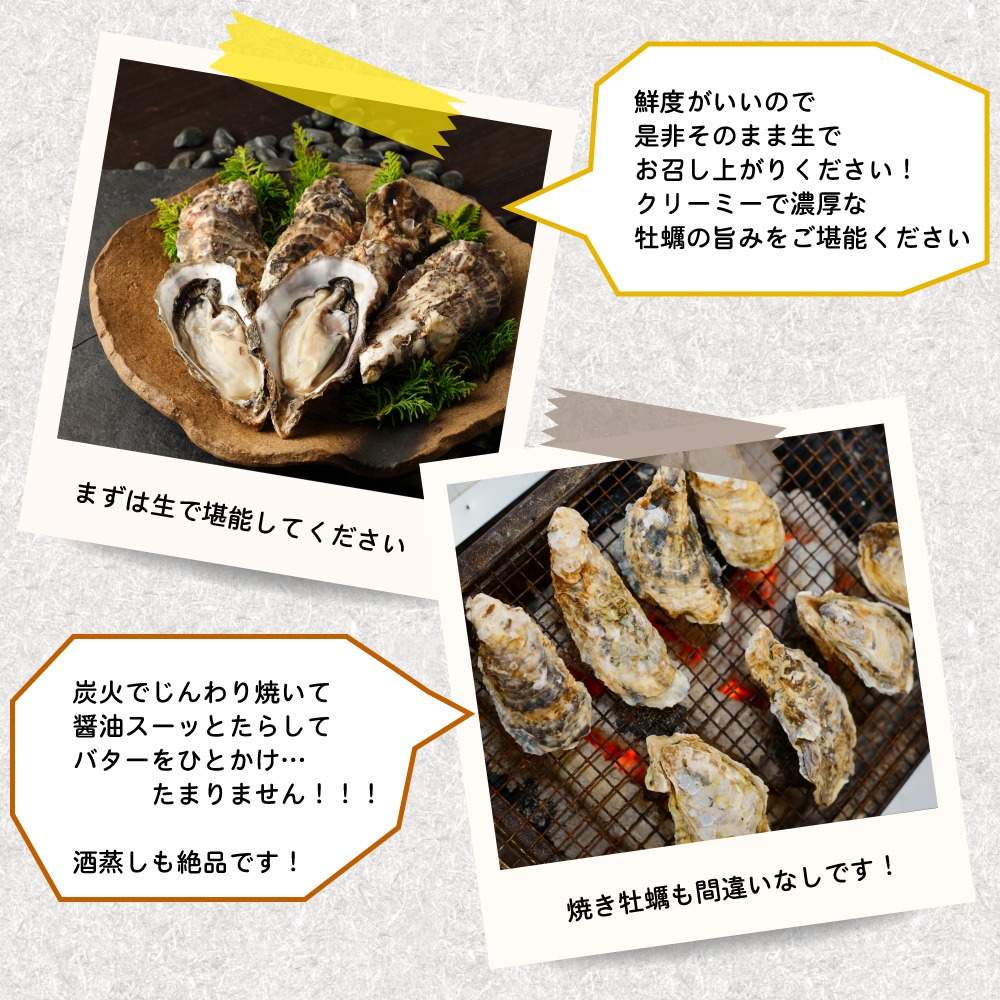 送料無料】生牡蠣Ｌサイズ５０個 北海道厚岸産（殻付き）産地直送 まる