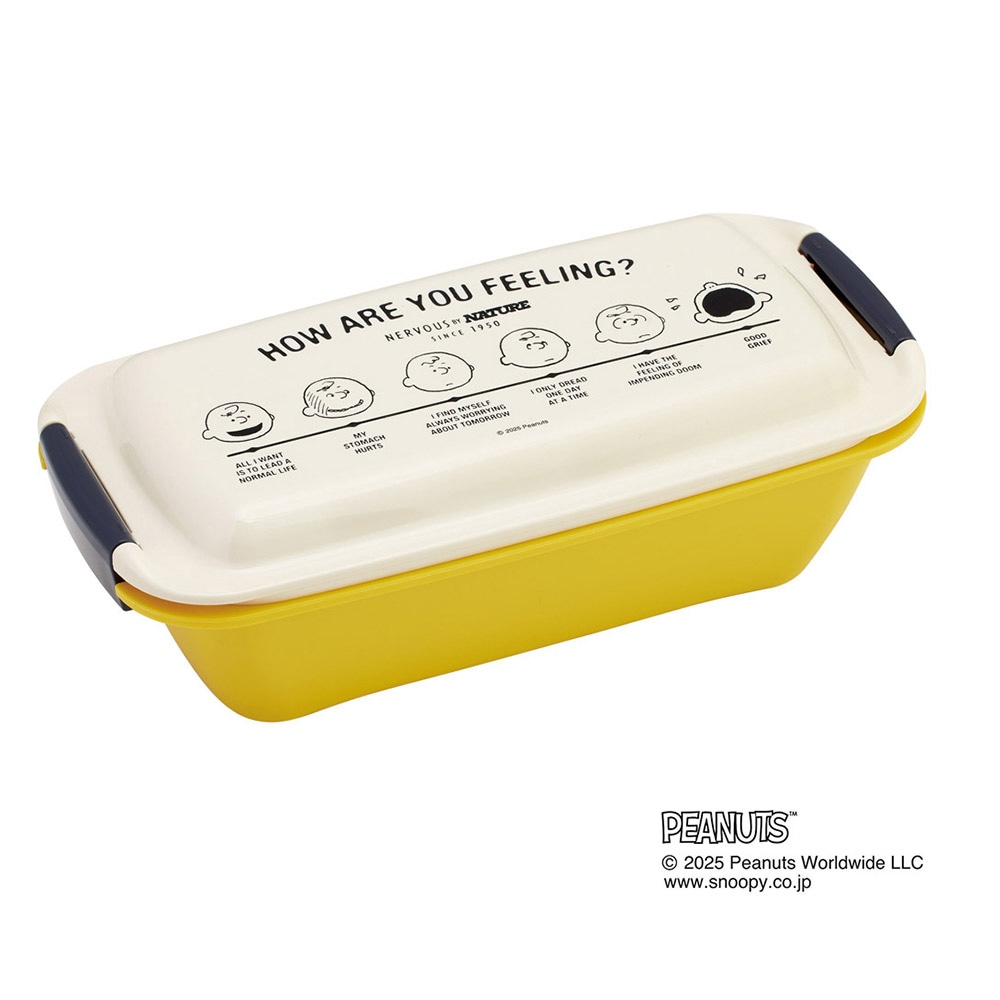 洗いやすい弁当箱