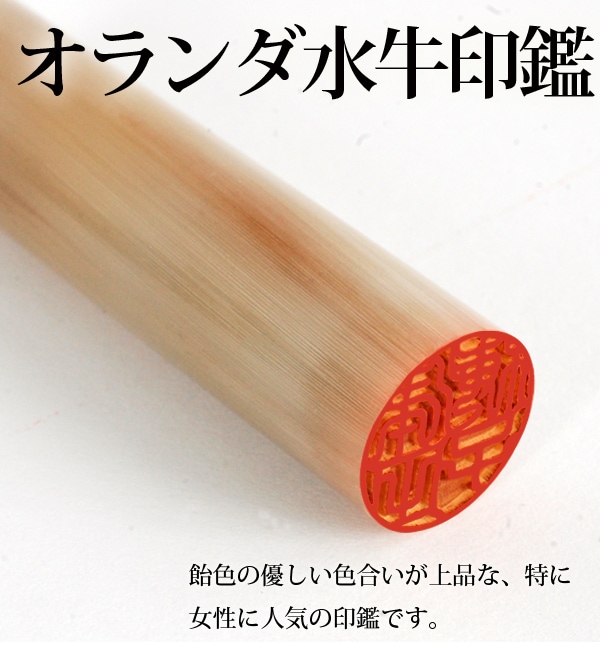 個人印鑑 オランダ水牛（牛角） ケース付2本セット （16.5/16.5） 【5