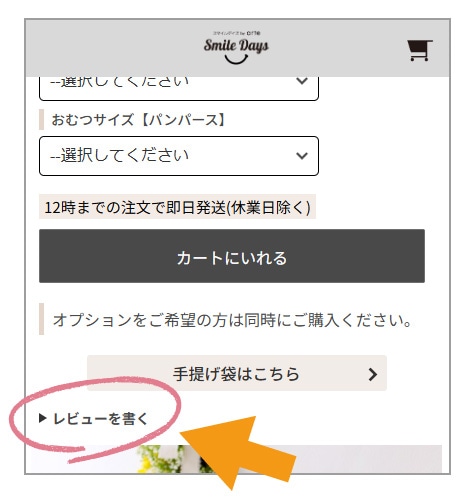 レビューの記入方法
