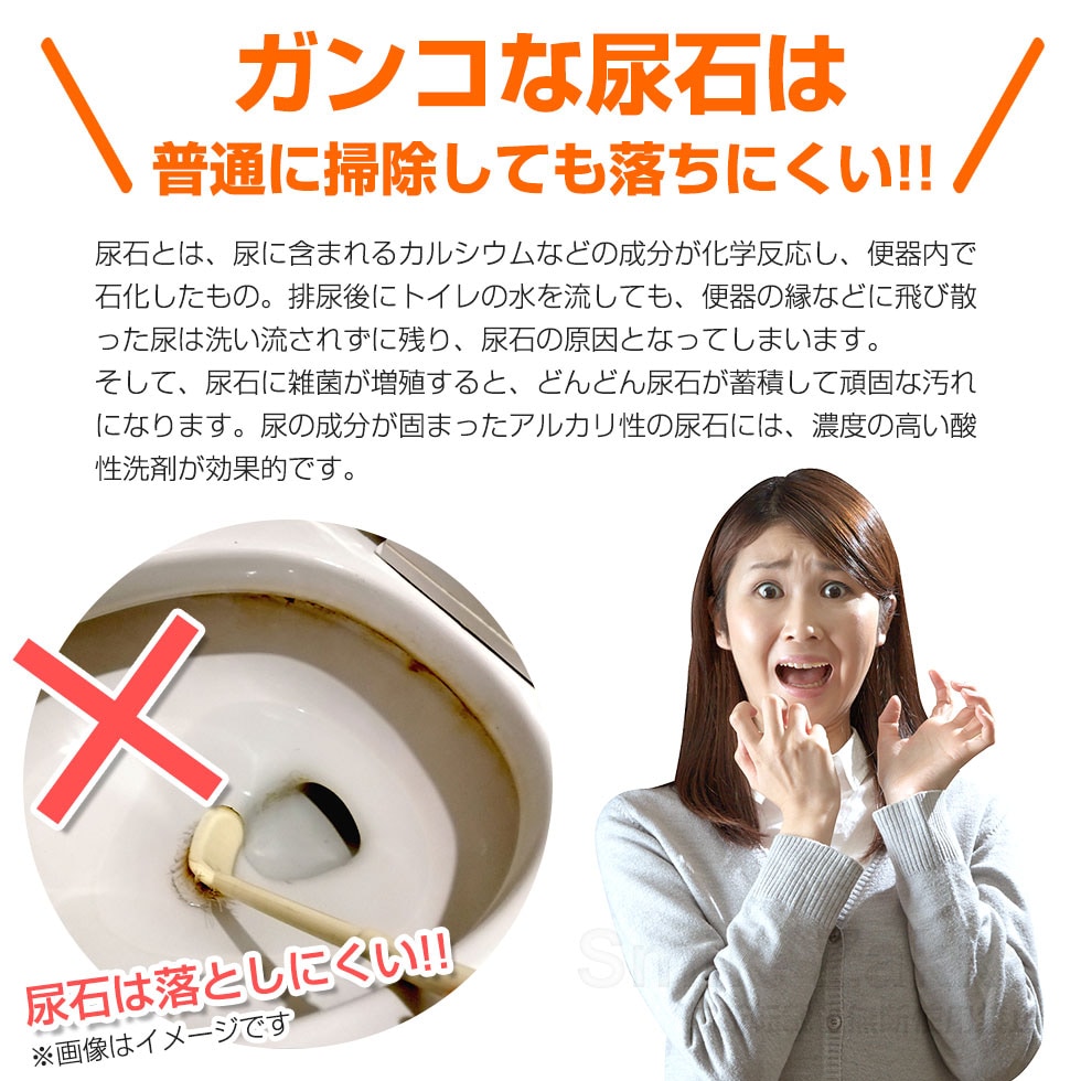 密着仕事人 トイレの尿石編