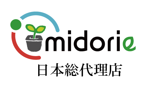 �ȥ西����ȥ꡼�ߥɥꥨ