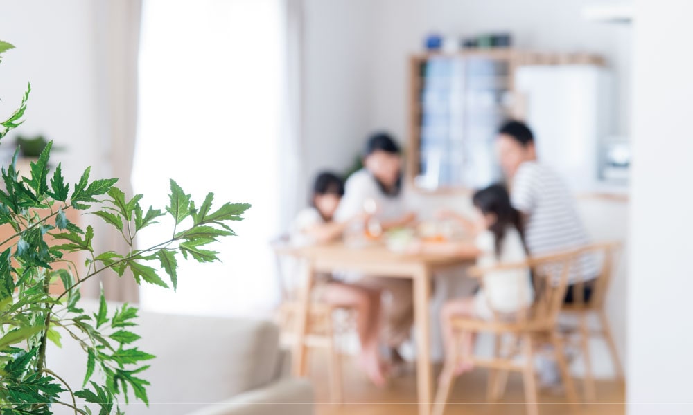 ��²�Ĥ��ǳڤ��ೢ������