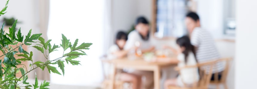 ご家庭の食卓で出雲そばを楽しむ様子