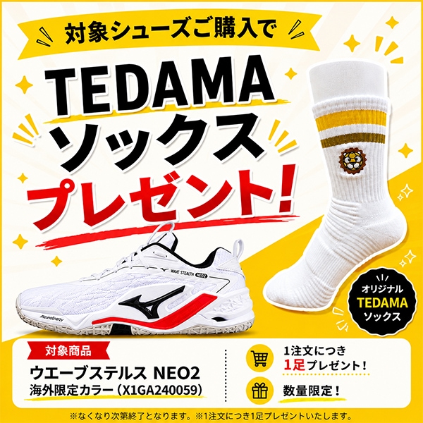 TEDAMAソックスプレゼント】【海外限定カラー】 ミズノ (MIZUNO