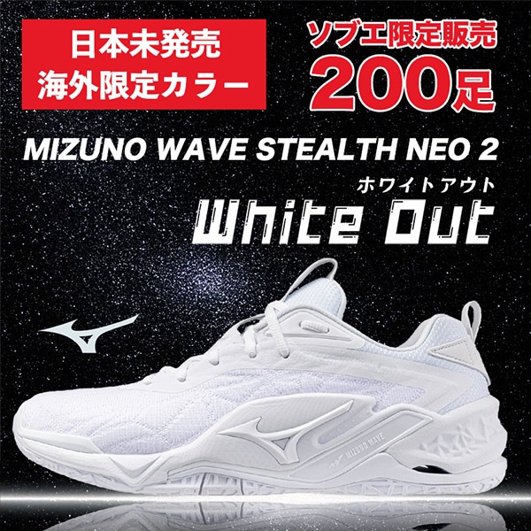 日本未発売カラー】ハンドボールシューズ （サルミングハンドボール 