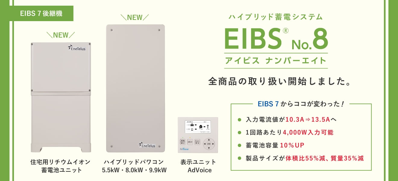EIBS No.8