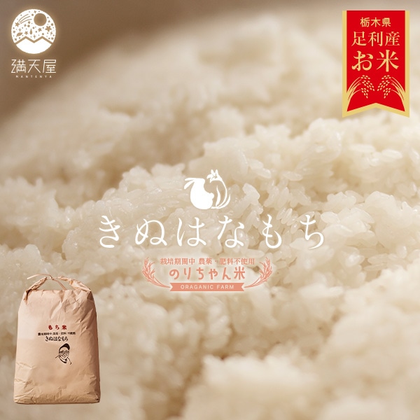 ­���ԤΤ������� �����(���̤Ϥʤ��)