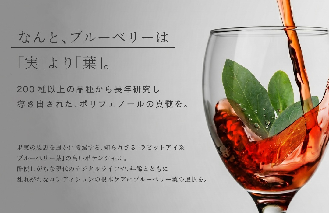 �磻�󥰥饹������������㿧�α��Τȥ֥롼�٥꡼���ա��ʤ�ȡ��֥롼�٥꡼�ϡؼ¡٤����ա١�200��ʾ���ʼ狼��Ĺǯ���椷Ƴ���Ф��줿���ݥ�ե��Ρ���ο���򡣲̼¤β��ä��ڤ���ο�魯�롢�Τ�줶��إ�ӥåȥ����ϥ֥롼�٥꡼�ա٤ι⤤�ݥƥ󥷥�롣��Ȥ������ʸ���Υǥ�����饤�դ䡢ǯ��ȤȤ����줬���ʥ���ǥ������κ��ܥ����˥֥롼�٥꡼�դ������