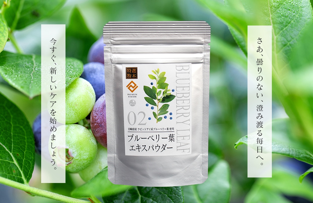 �֥롼�٥꡼���ڤȲ̼¤��طʤˤ����֥롼�٥꡼�ե������ѥ������ξ��ʥѥå���������������������������Ϥ�ޤ��礦���������ޤ�Τʤ��������Ϥ������ء�