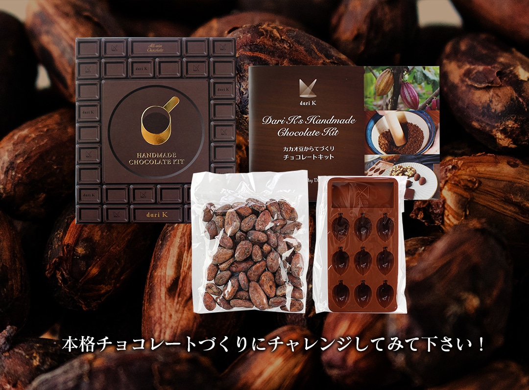カカオ豆から手作りチョコレートキット 生カカオ豆、ブックレット
