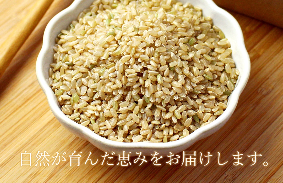 �����ηäߤ��ͤޤä��֤Τ������ơפθ��ơ�γ��·�ä���Ʃ�����Τ������Ƥ����ƤΤ��ơ�