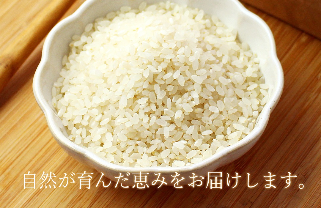 �����ηäߤ��ͤޤä��֤Τ������ơפ����ơ�γ��·�ä���Ʃ�����Τ������Ƥ����ƤΤ��ơ�