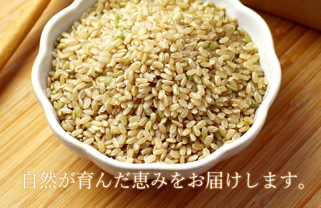 �����ηäߤ��ͤޤä��֤Τ������ơפθ��ơ�γ��·�ä���Ʃ�����Τ������Ƥ����ƤΤ��ơ�