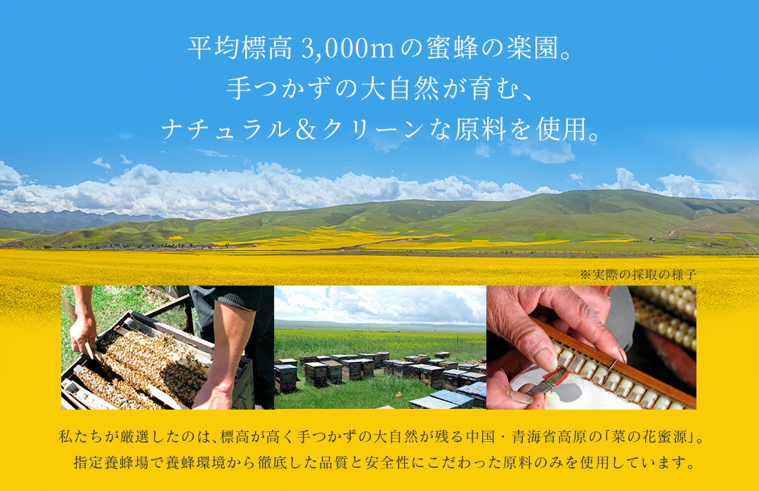 ��ʿ��ɸ��3,000m��̪˪�γڱ�פȤ�����å������ˤդ��路�����Ķ��ȹ���ʺڤβ�Ȫ������������ĳ��ʹ⸶�����ʡ������ˤϼºݤκμ���ͻҤȤ��ơ�������˪��ǥߥĥХ�����Ȣ�������를�꡼����Ȥ���ǫ�˰������ͤμ̿����¤�Ǥ��ޤ���